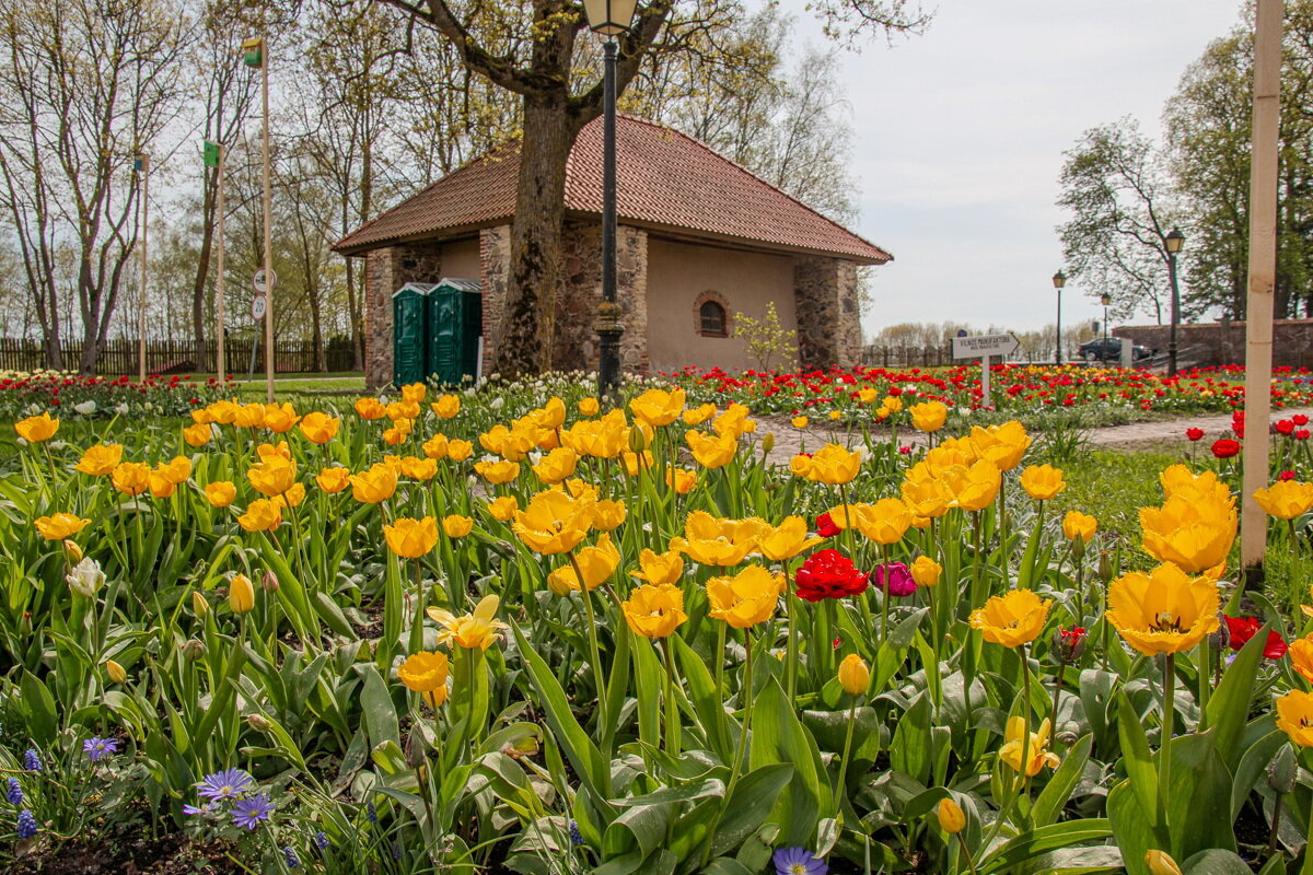 Пакруойская усадьба и фестиваль цветов. Пакруойис, Литва - Геннадий Порохов