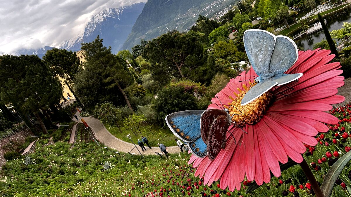 Италия SüdTirol  Gärten von Schloss Trauttmansdorf in Meran Übersich. - "The Natural World" Александер