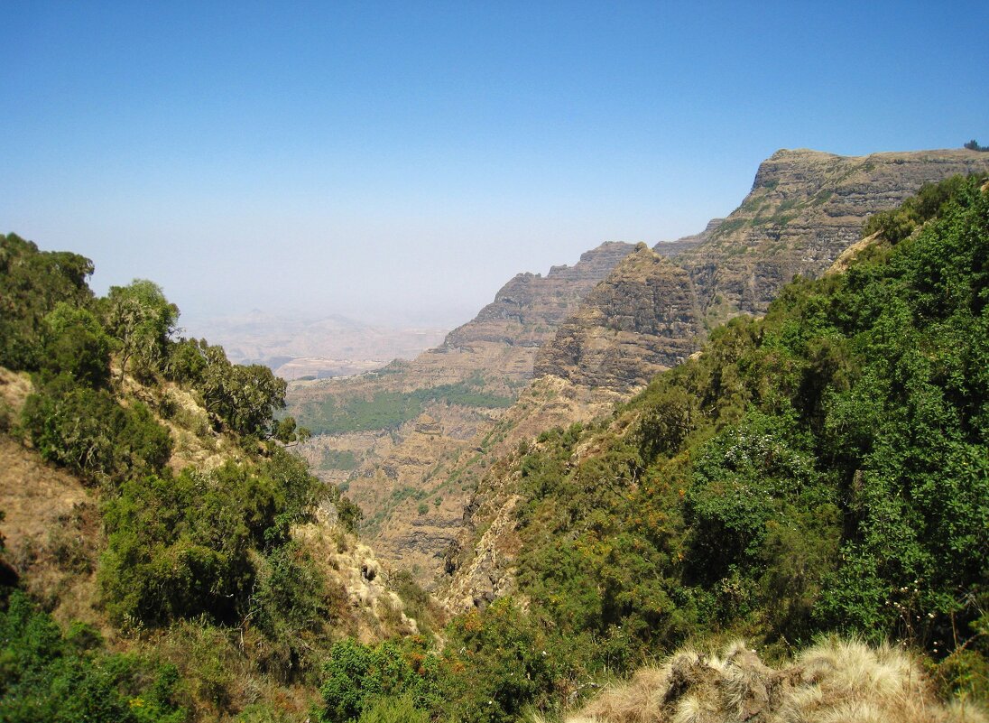 Сыменские горы, Эфиопия. - unix (Илья Утропов)