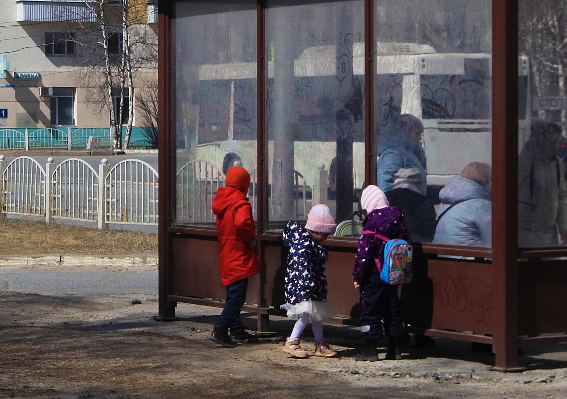 Май...Дети на автобусной остановке возле сквера Победы! - Владимир 