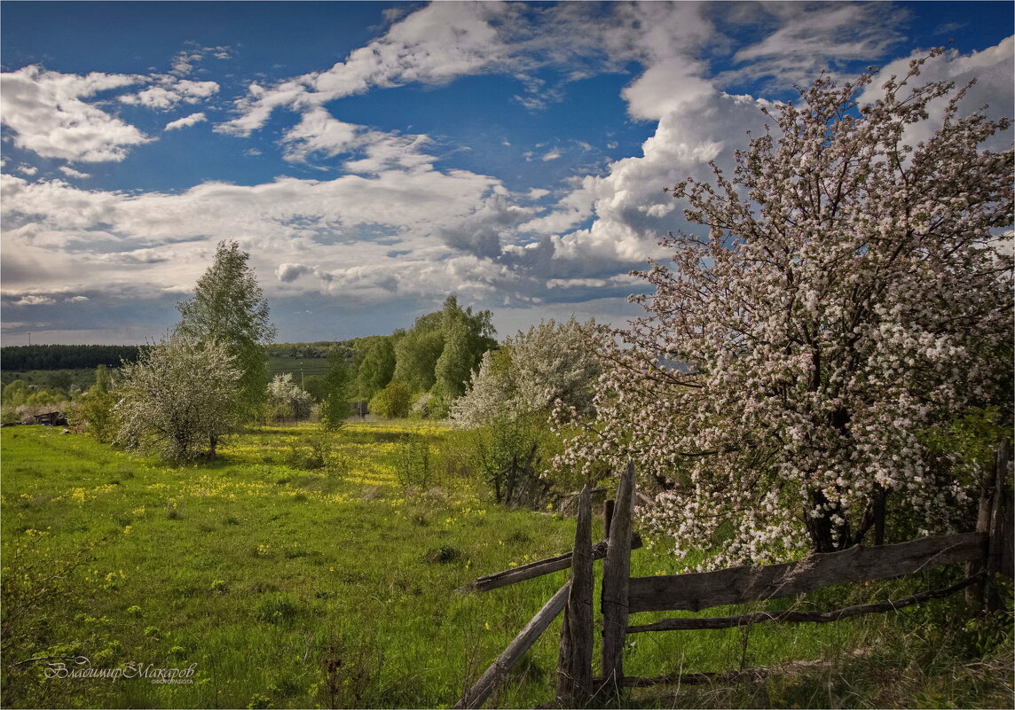 "Цветение садов в мае. Пущино"© - Владимир Макаров