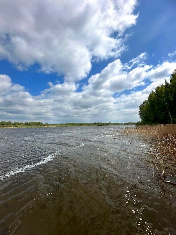Река Гжать - Ольга Довженко
