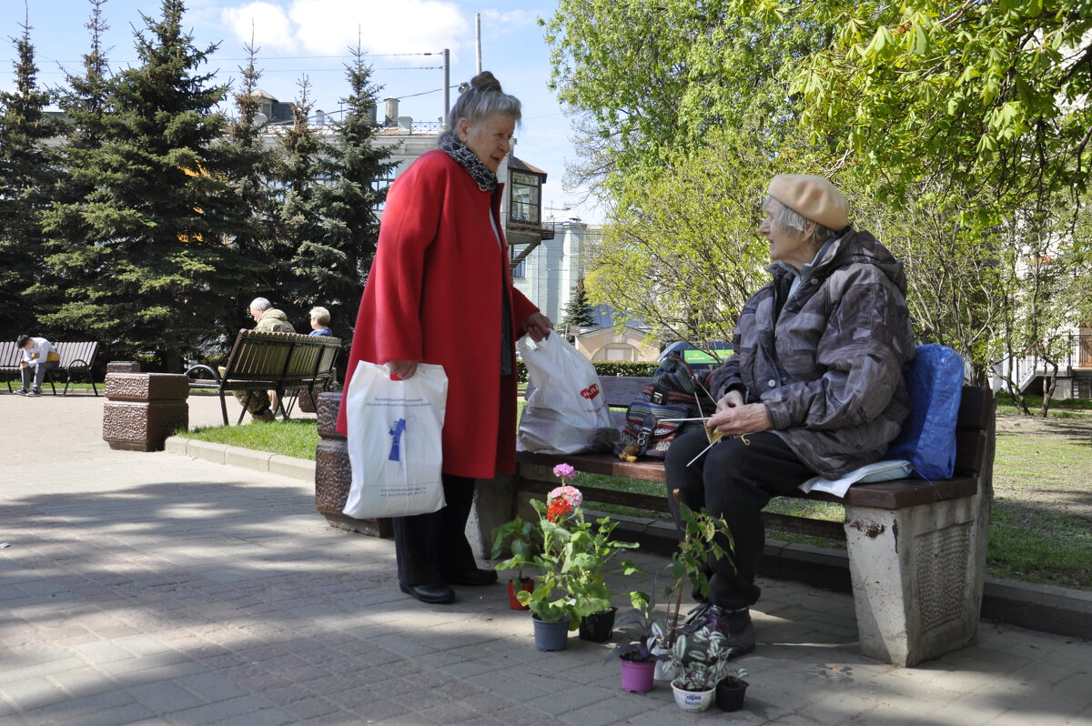 Пожилая женщина зарабатывает себе на жизнь вязанием - Галина Бельченко