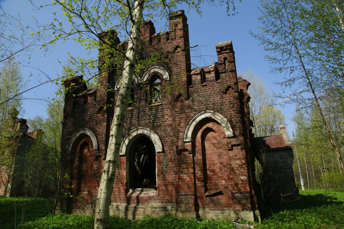 Руины дворца в Орловском парке - Танзиля Завьялова