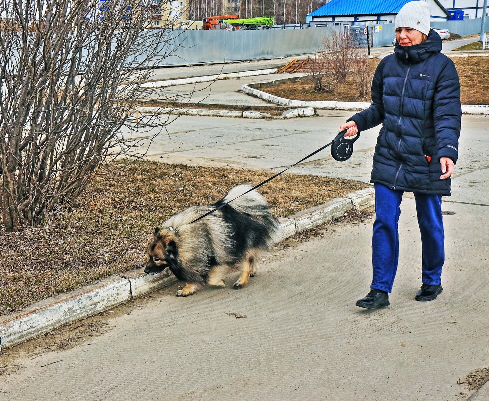 Май..К реке с  песиком! - Владимир 