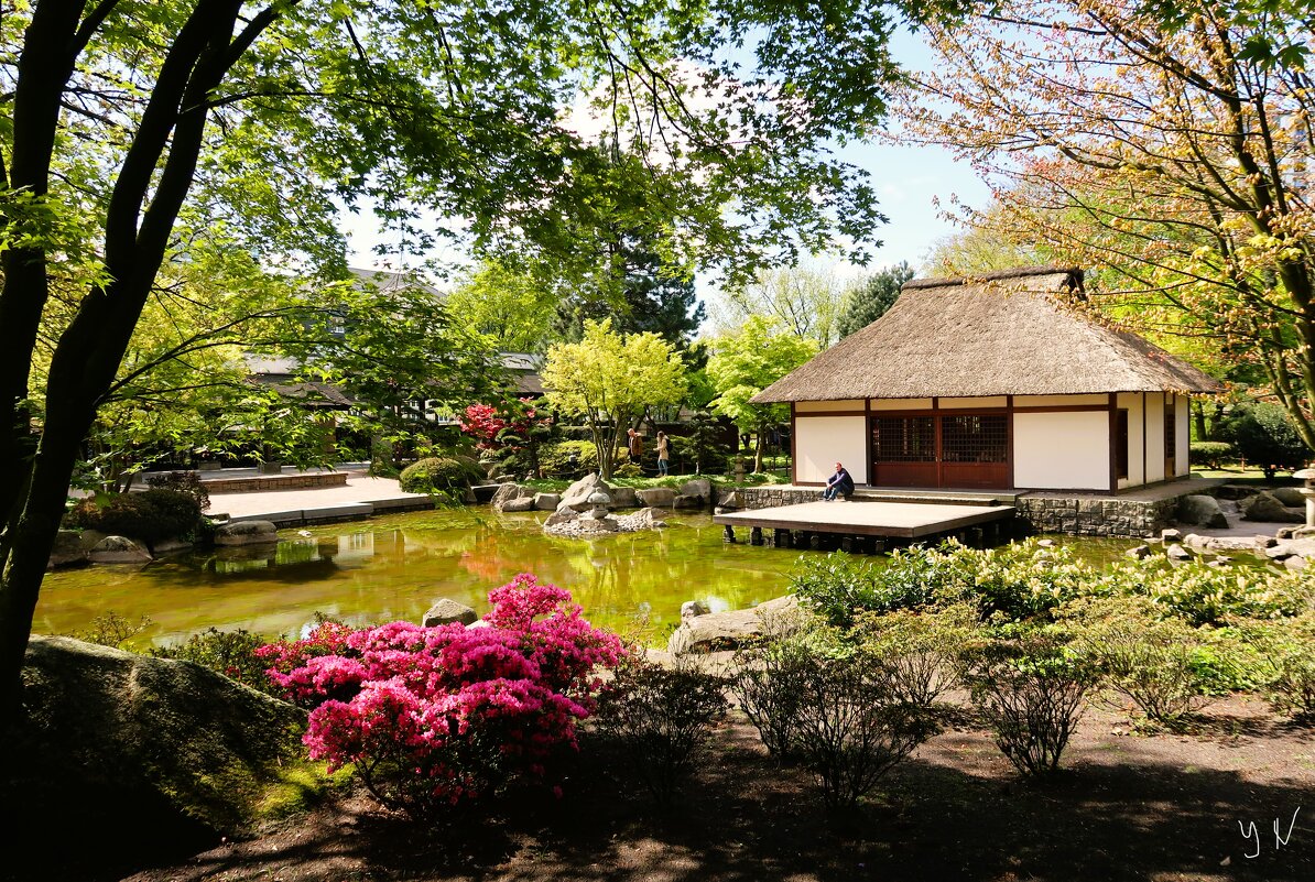 Весна в парке цветов. Чайный домик в японском саду - Nina Yudicheva