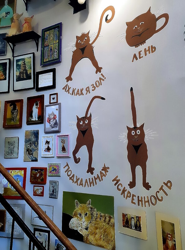 Экспонаты  музея кошек «Мурариум»  в Зеленоградске - Ольга Довженко