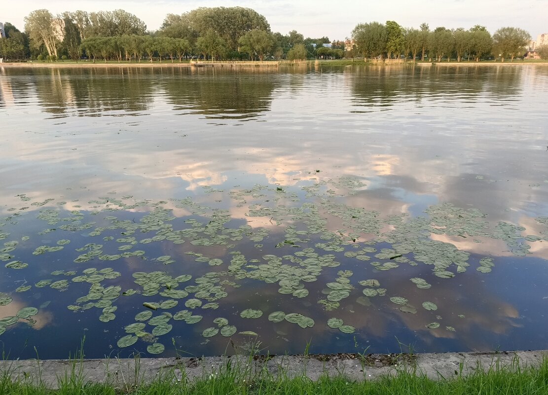 Вечером у Ижоры... - Мария Васильева