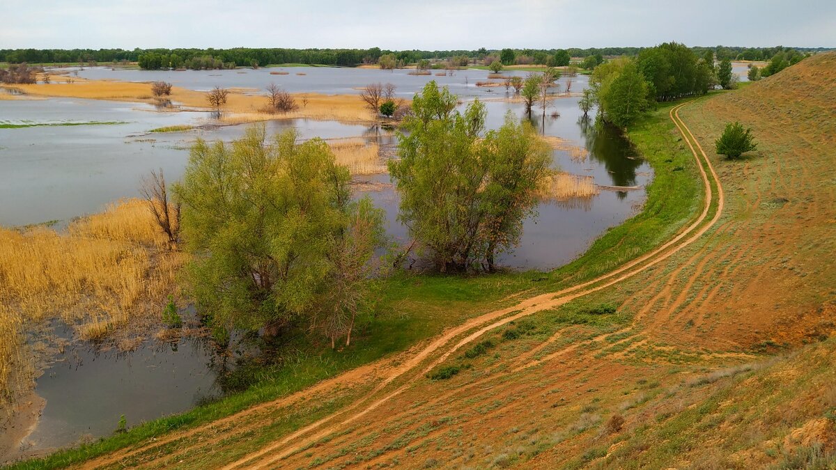 Половодье - Пасечник 