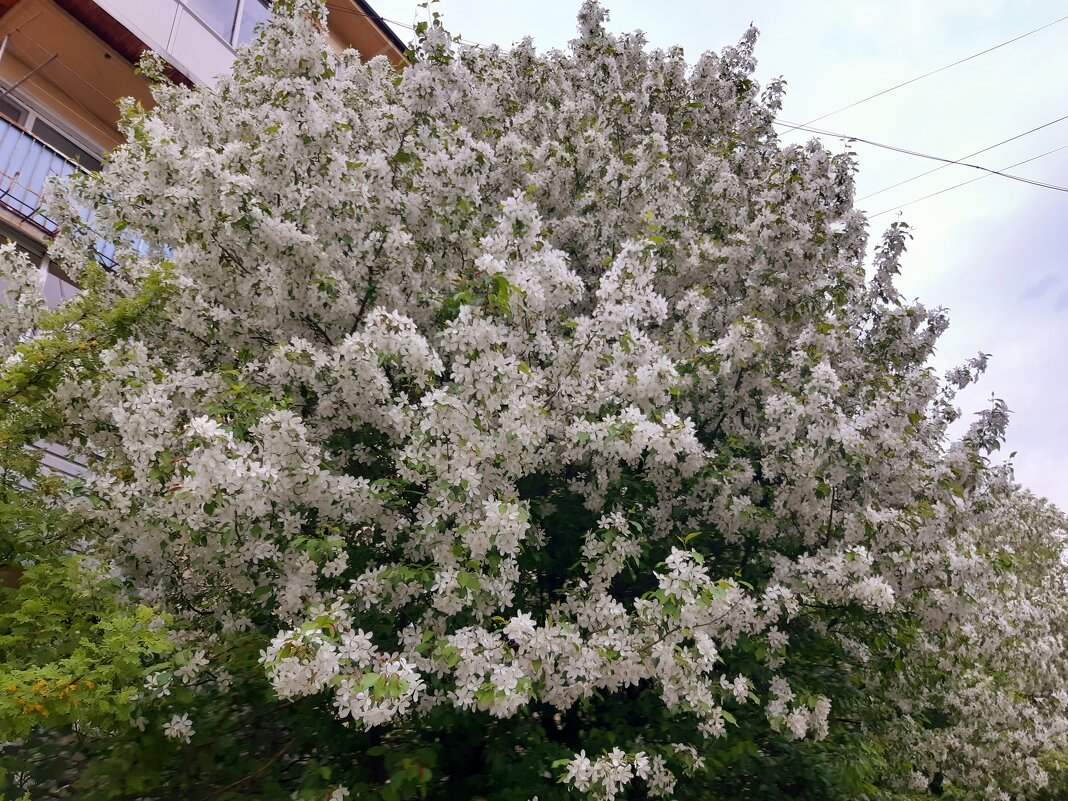 В соседнем квартале - Галина Минчук