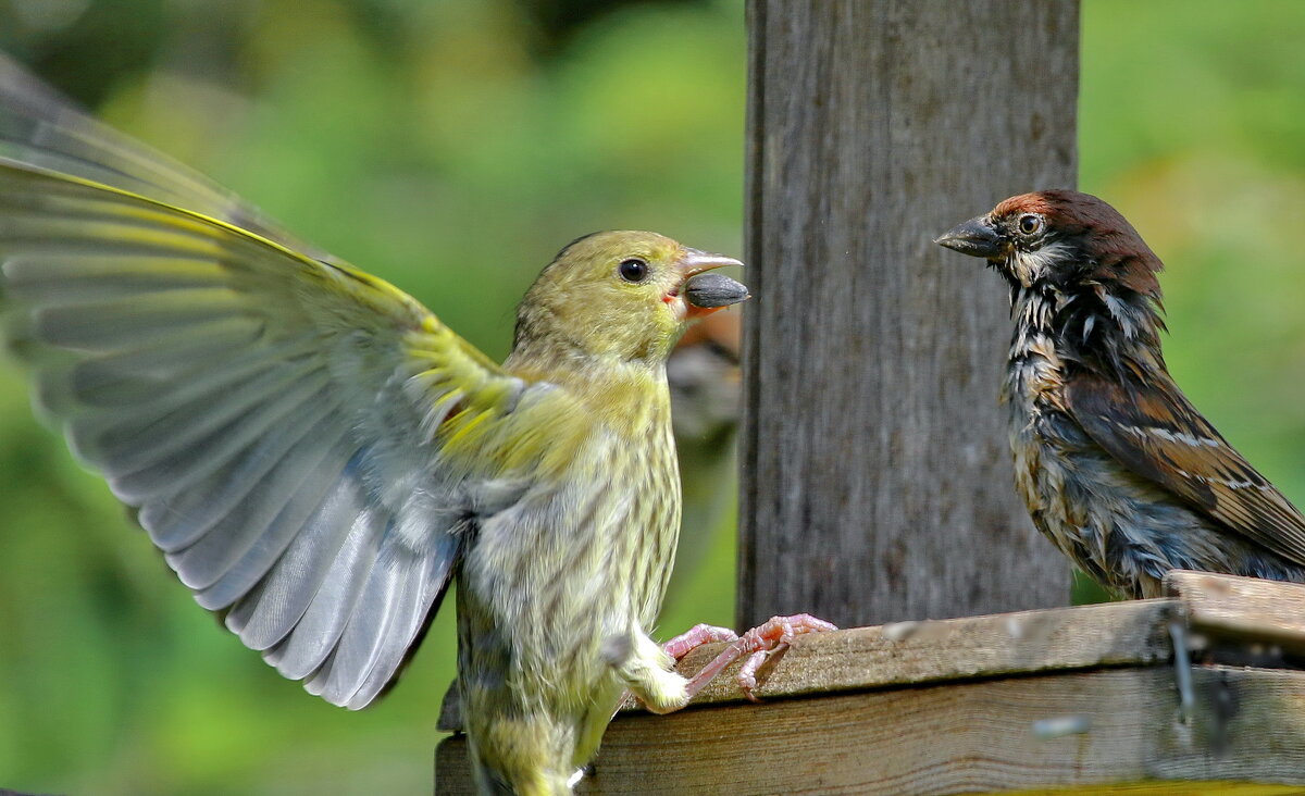 .. а ты кто !??... - Andrey Bragin 