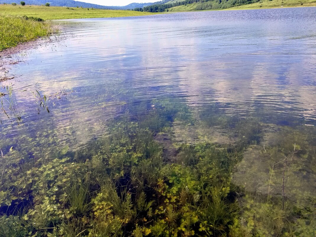 Прозрачность воды Красноярского "моря" - Алексей Ильичёв