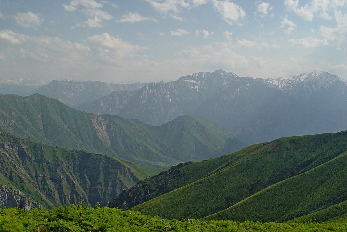 ДОЛИНА КУЛАСЬИ, всё выше. - Виктор Осипчук