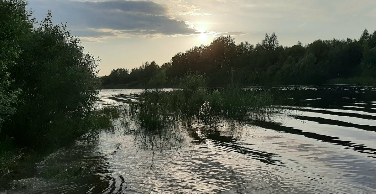 Летний вечер - Наталья Герасимова