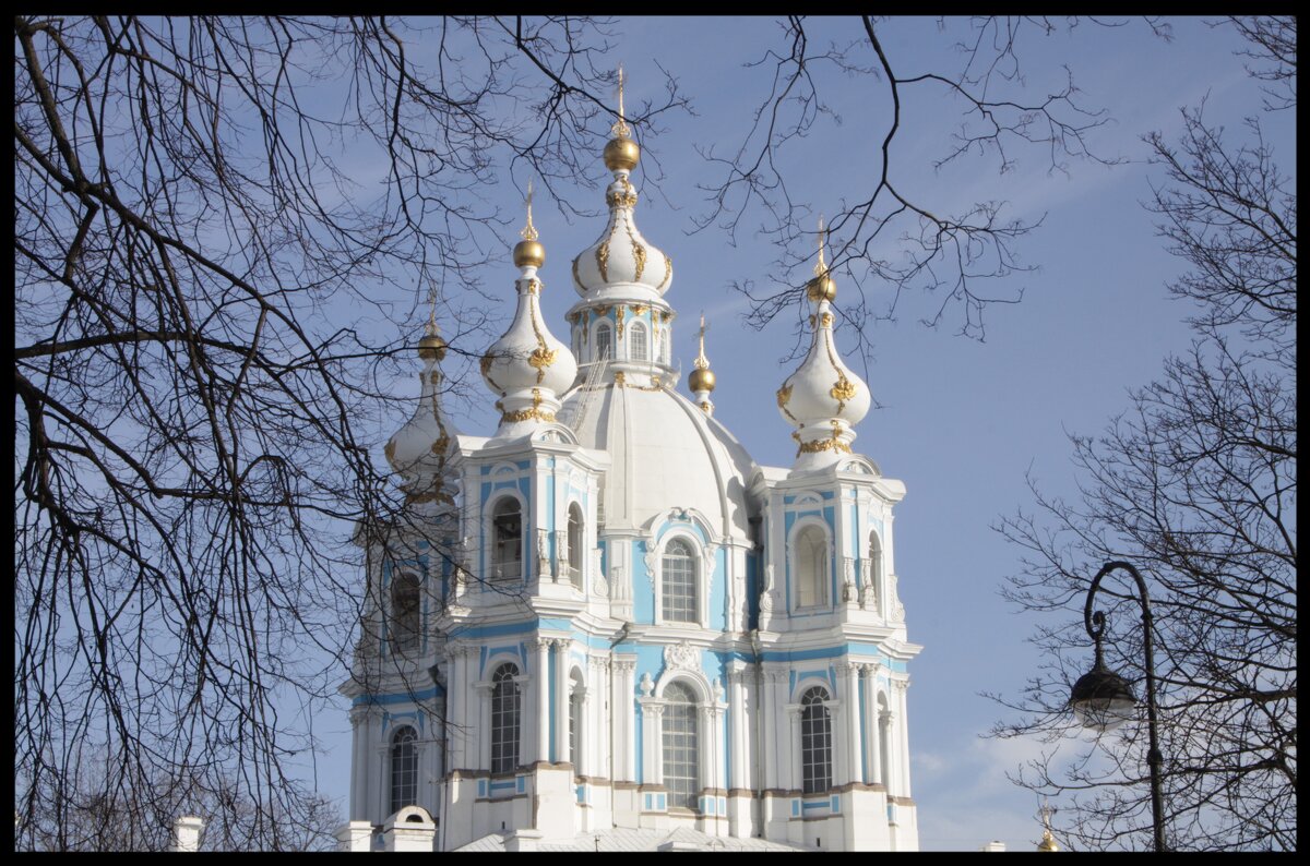 Смольный - Алексей Дмитриев