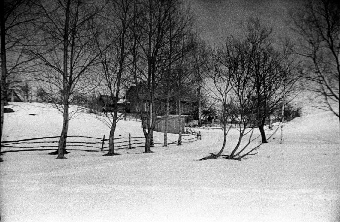 Фотоплёнка 1975год. Псковская обл. Великолукский район. - Ирина Жигунова