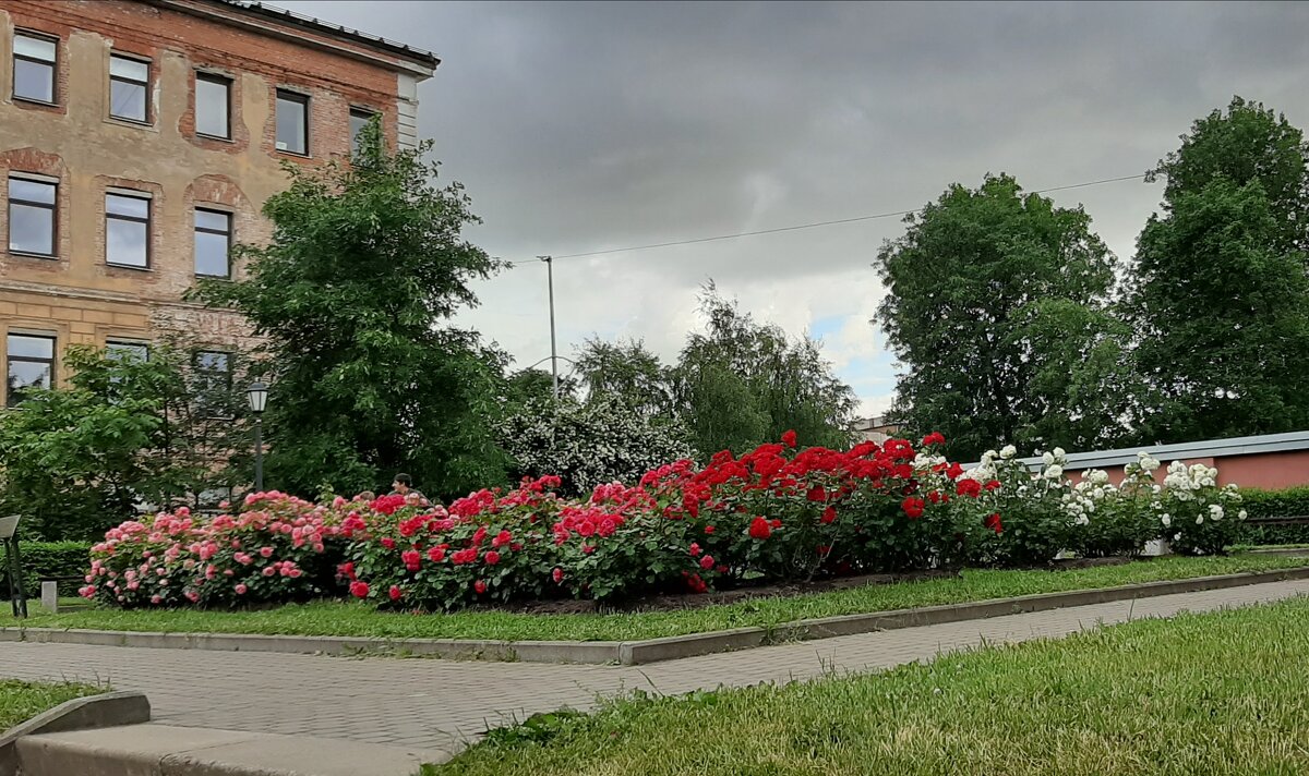 Измайловский сад - Наталья Герасимова