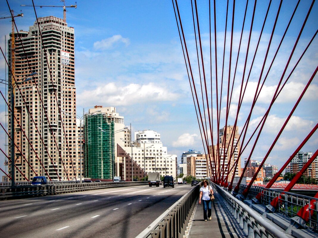 Ванты Живописного моста - Анатолий Колосов