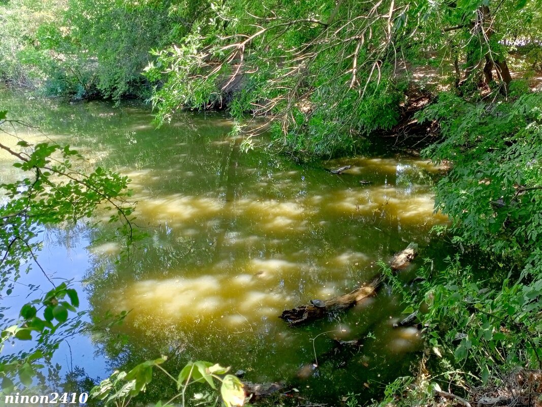 В ростовском зоопарке - Нина Бутко