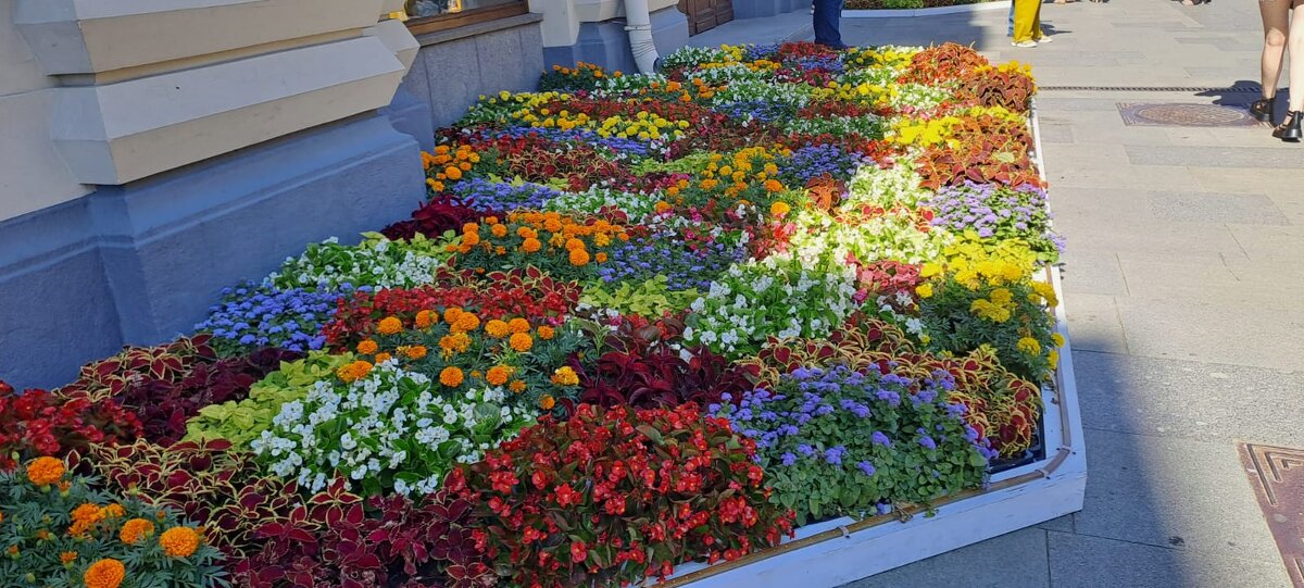 В центре Москвы - Ирэн 