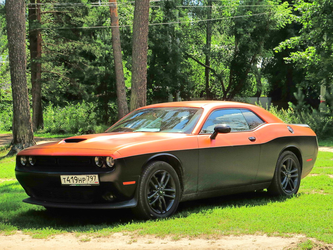 DODGE Challenger - Андрей Снегерёв