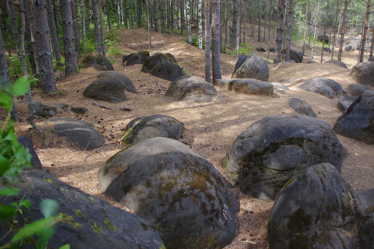 сад камней - Сергей 