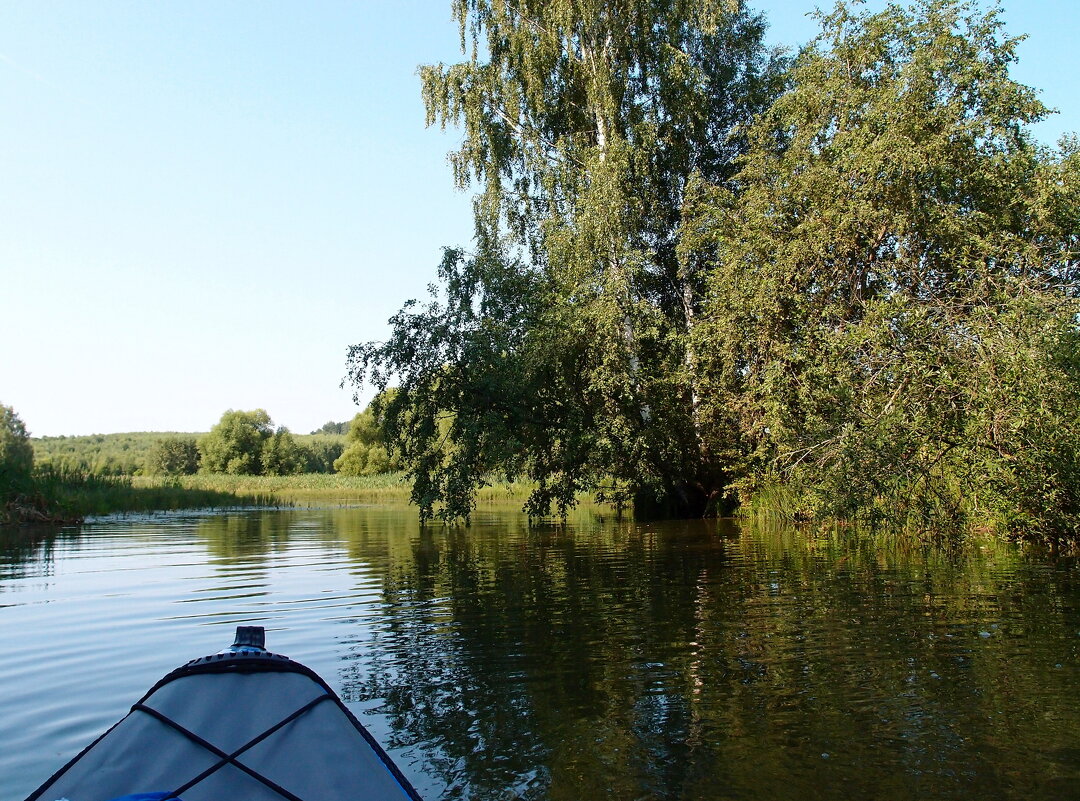 Водная прогулка - Андрей Зайцев