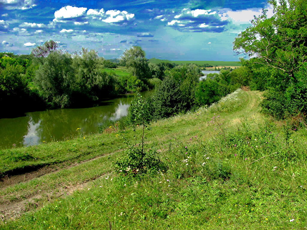 ПЕРВОЗДАННАЯ   КРАСА - Анатолий Малобродский