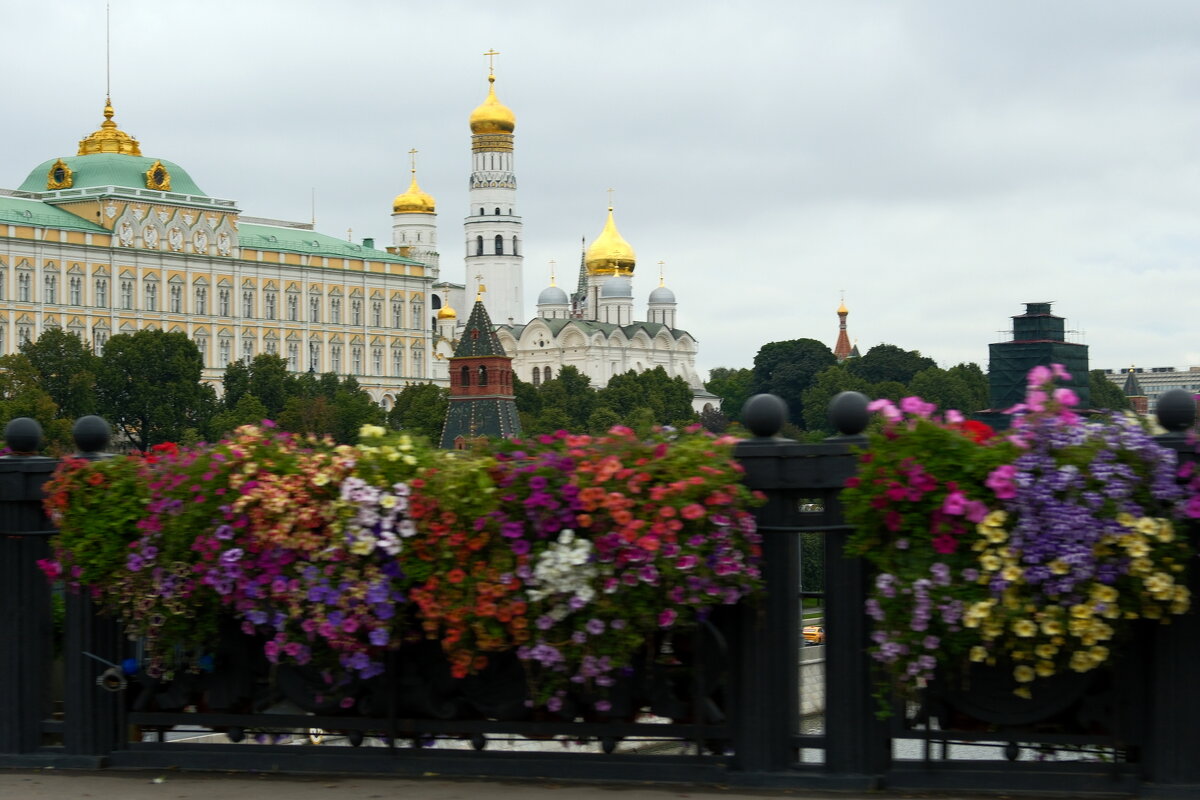 Красота - Лютый Дровосек