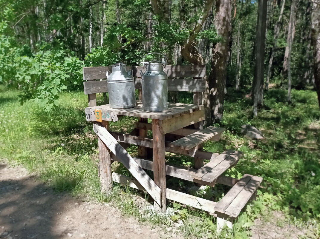 В музее под открытым небом - veera v