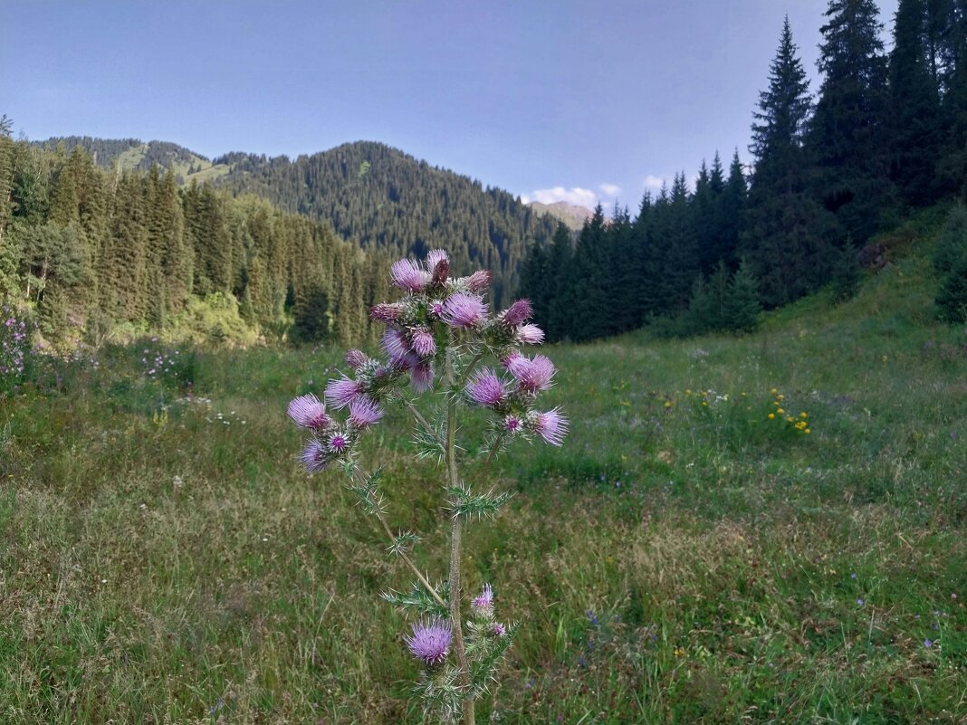 Ak Bulak. - Murat Bukaev 