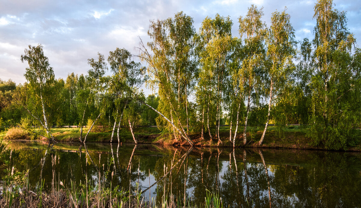 *** - Владимир Безбородов