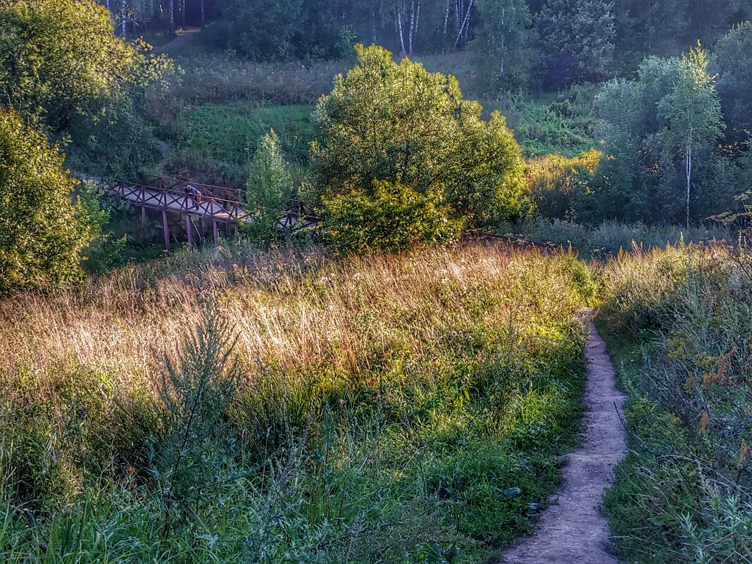 вечер в лесопарке - Валентина. .