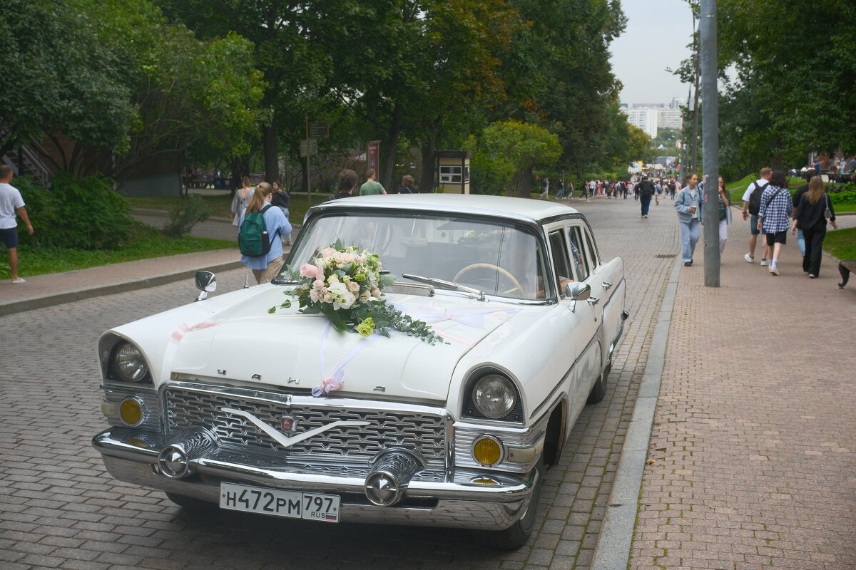 Свадьба... - Лютый Дровосек