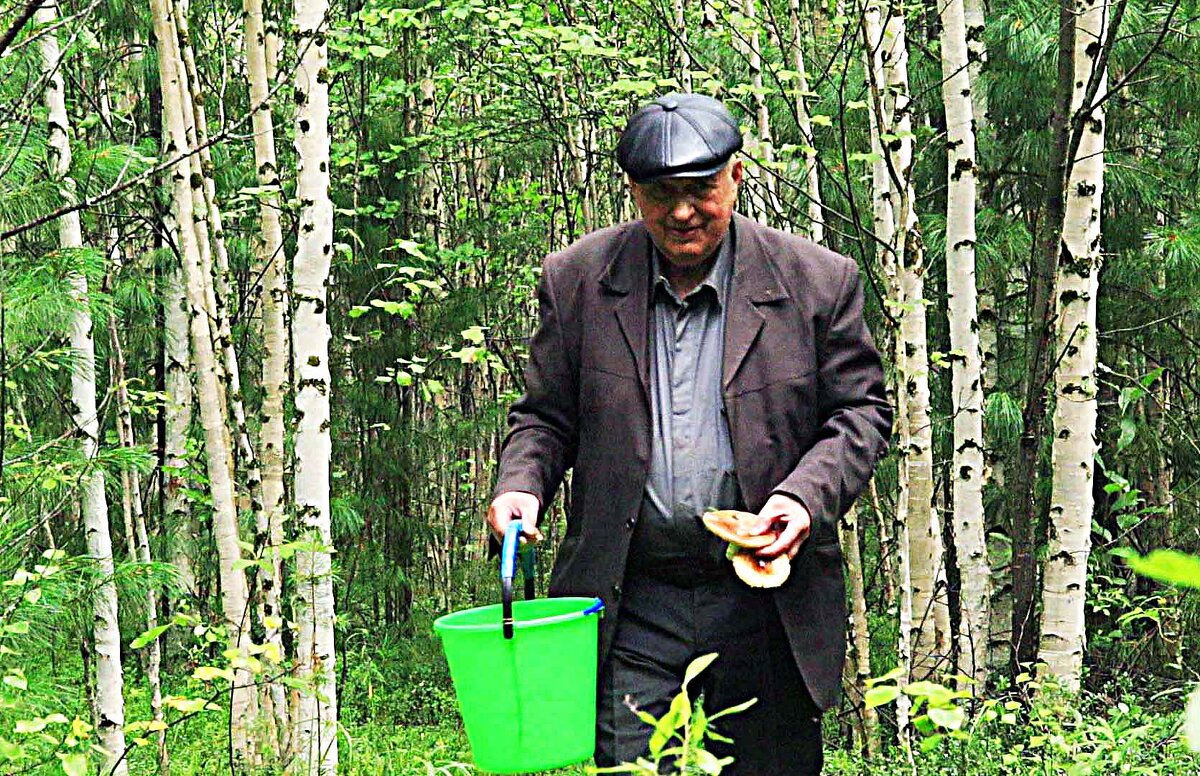 Август...В березняке с сыроежками! - Владимир 