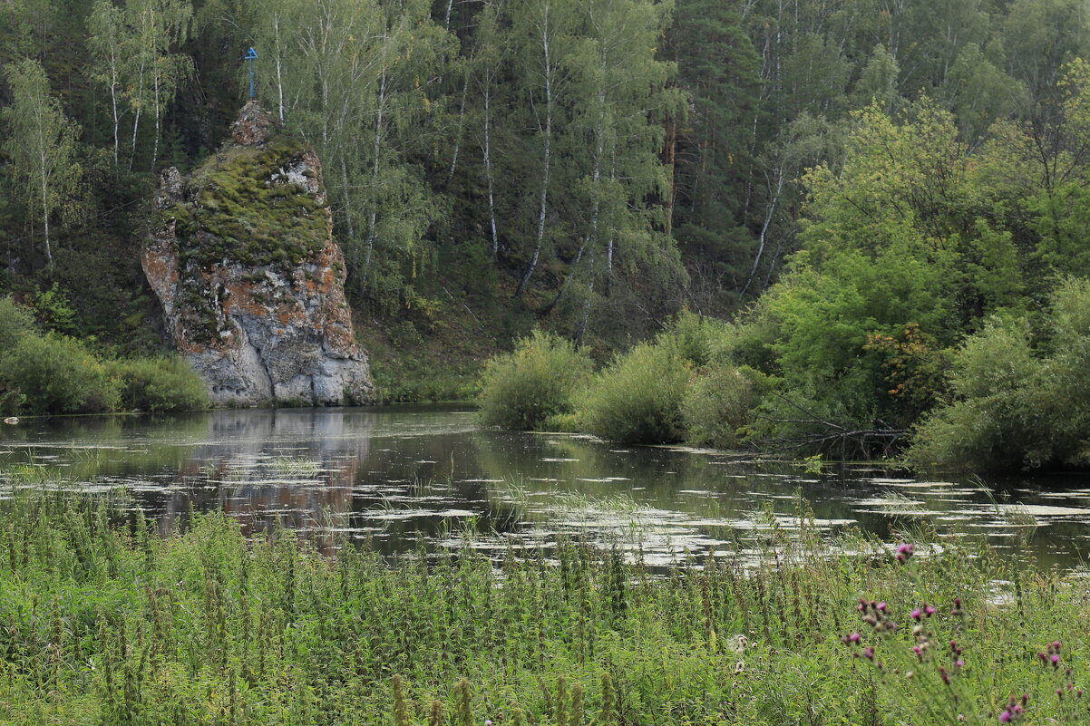 * - Александр Николаев