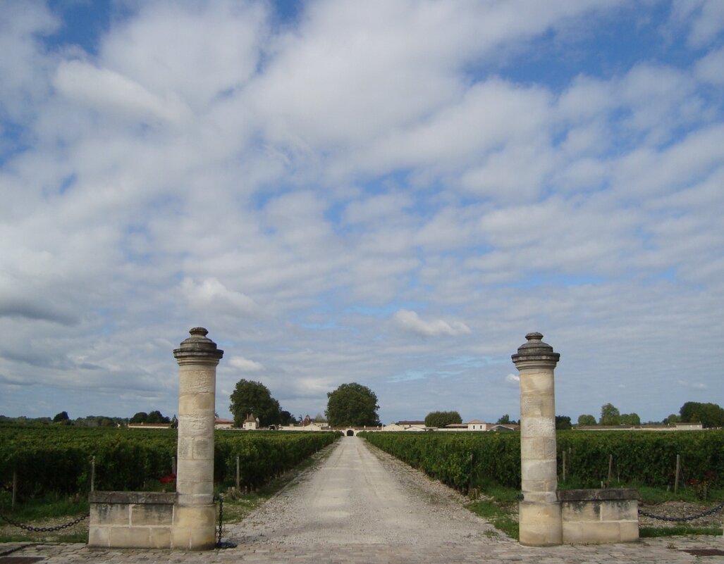 Château Rauzan-Ségla - Olga 