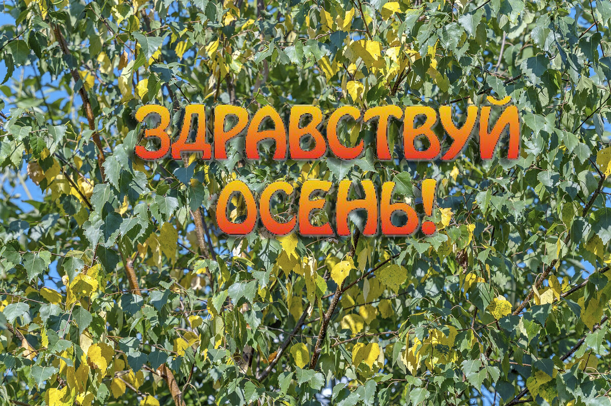 Вот и осень - Валерий Иванович