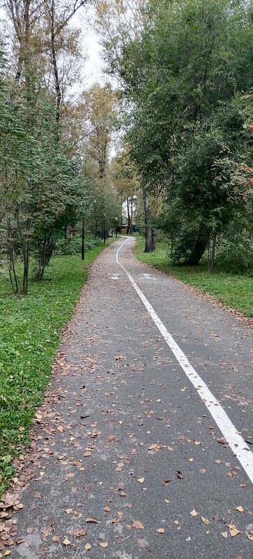 Дорога в осень приглашала ... - Любовь Иванова