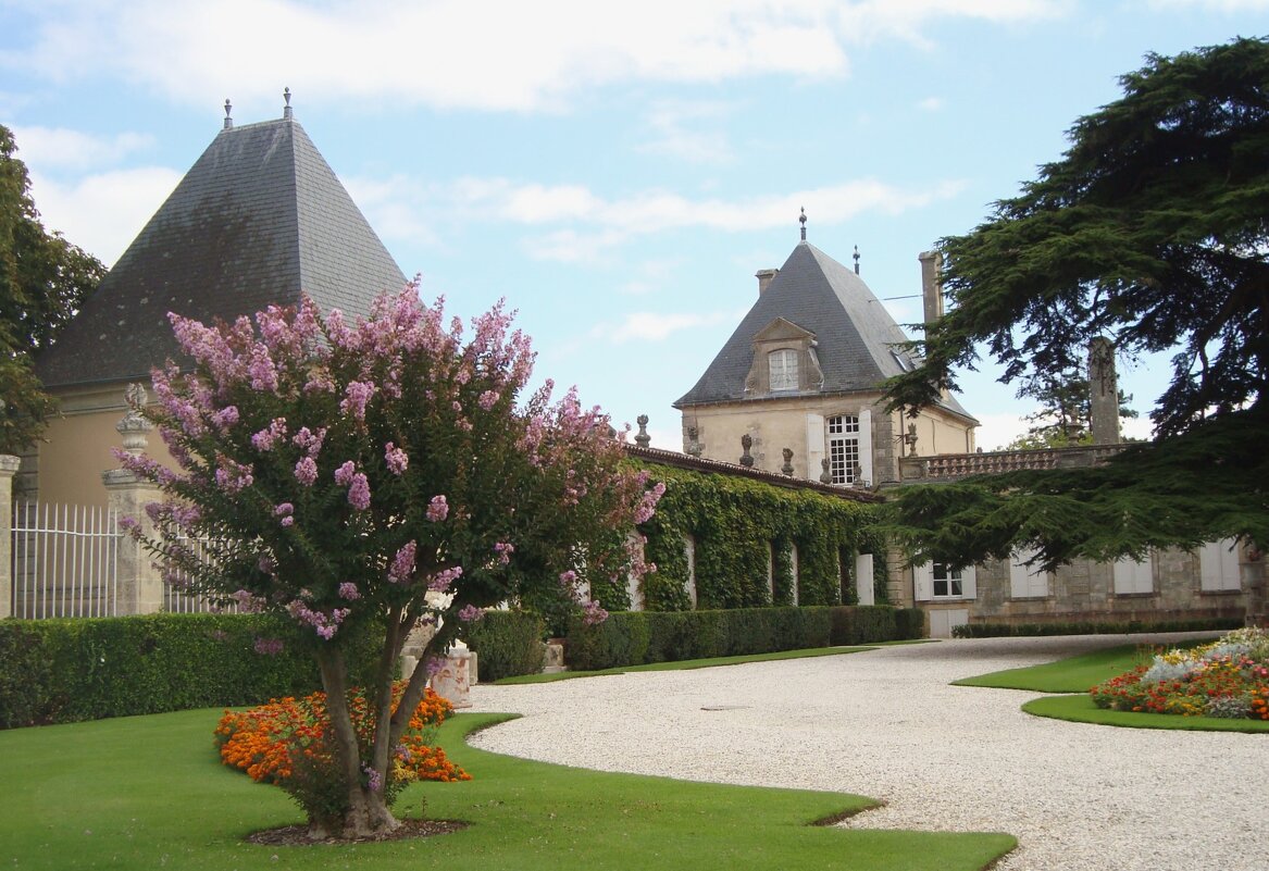 Château Beychevelle - Olga 