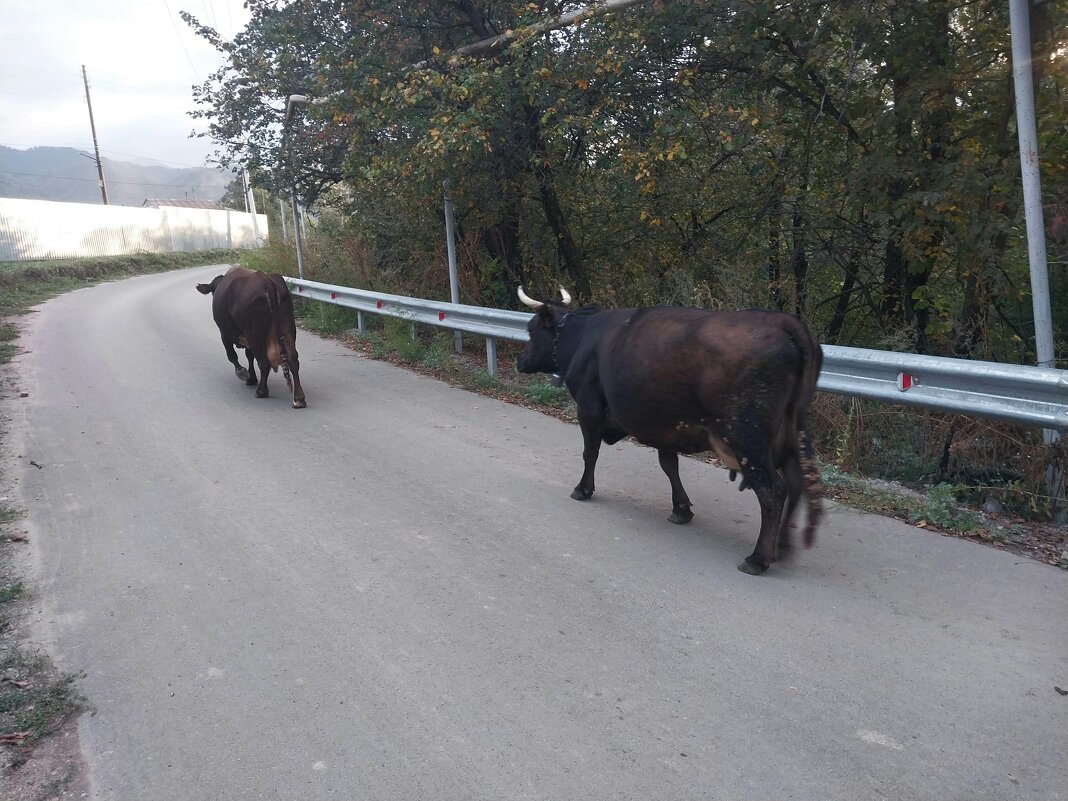 Ak Bulak. - Murat Bukaev 