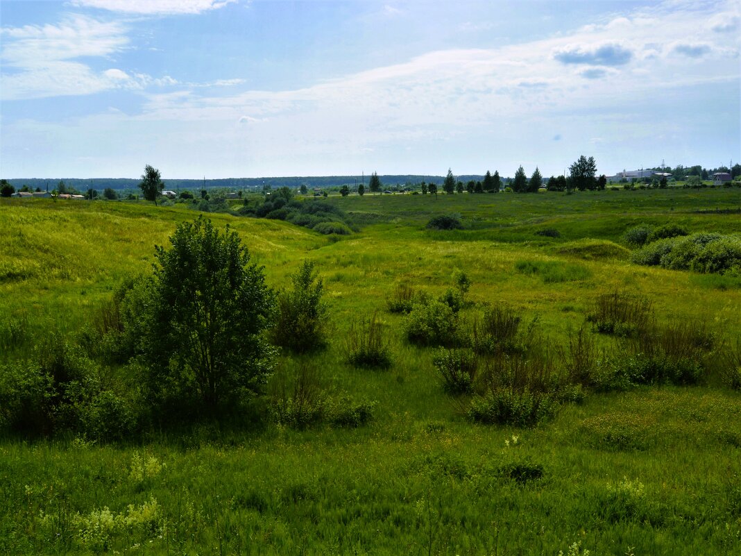 Канаш. Южный овраг летом. - Пётр Чернега