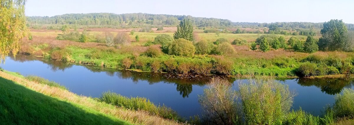 Панорама в Тригорском - Игорь 