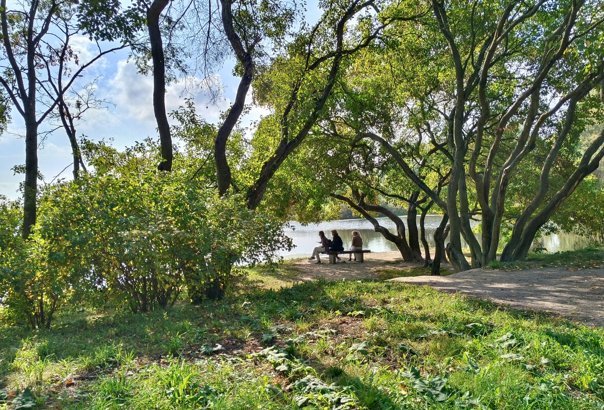 У реки в парке - Мария Васильева