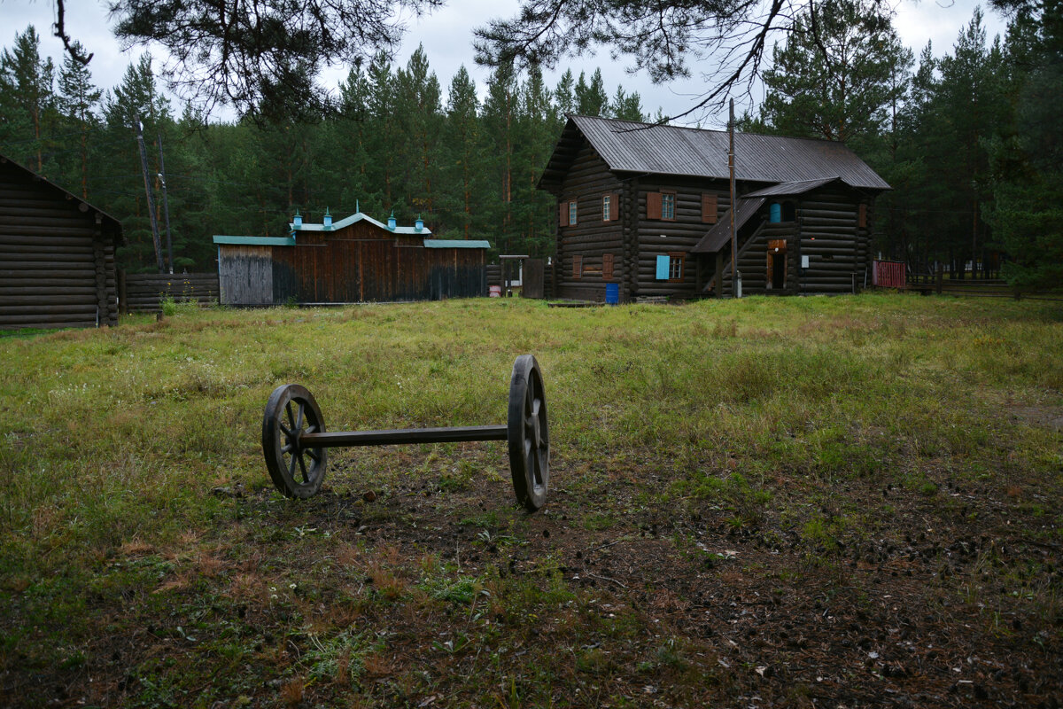 * - Наталья Покацкая