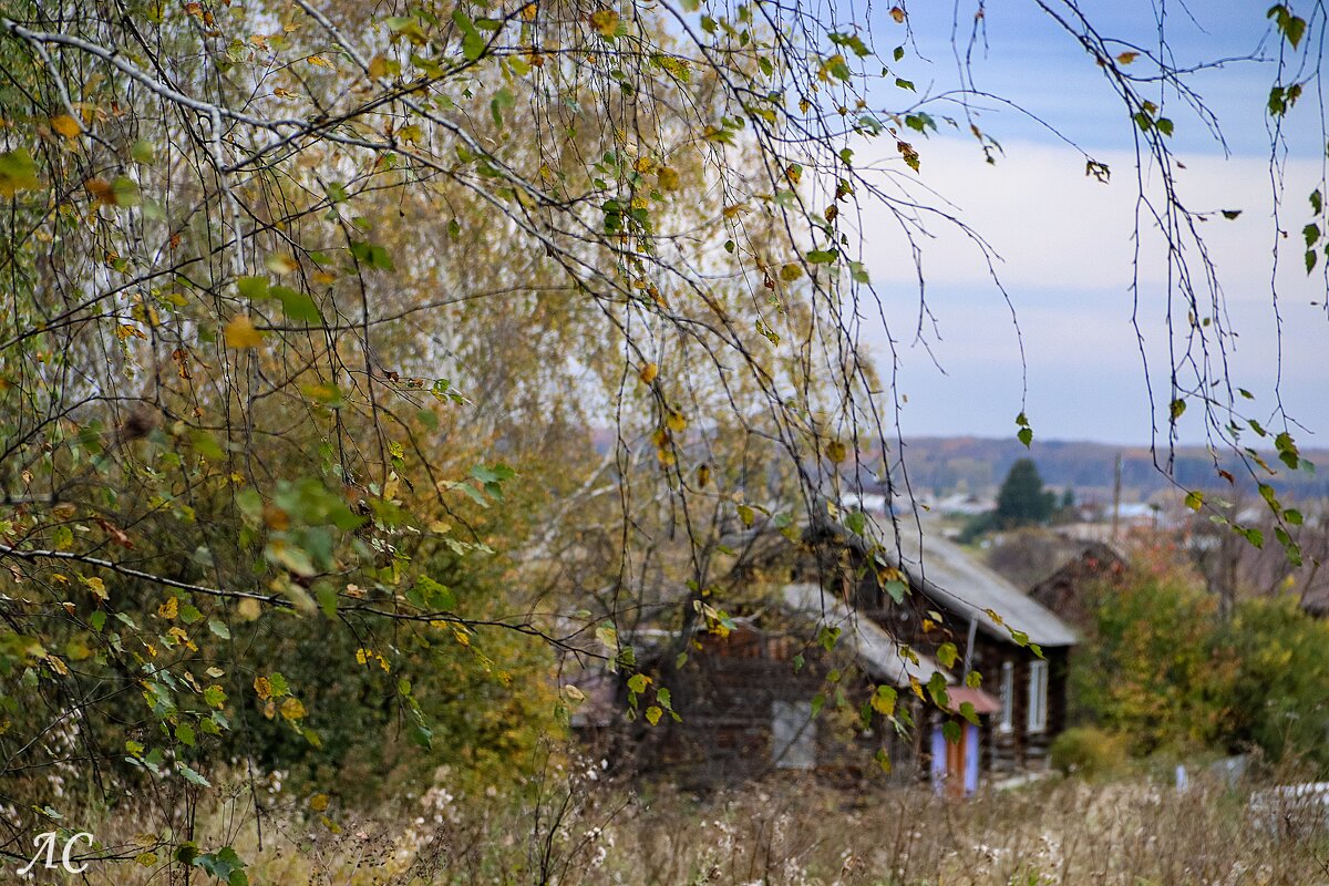 Осенний этюд - Любовь Сахарова