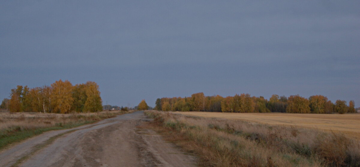 Осень,дорога домой. - сергей 