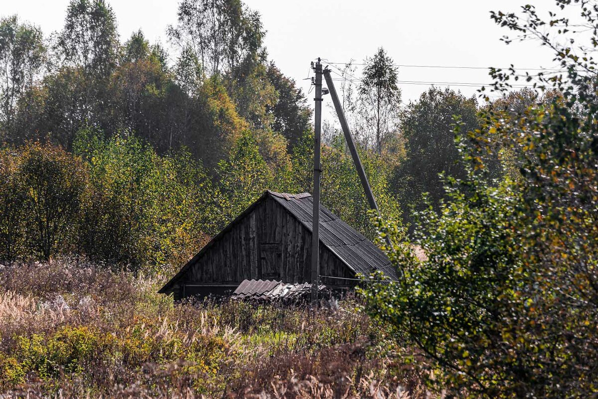 Домик - Александр 