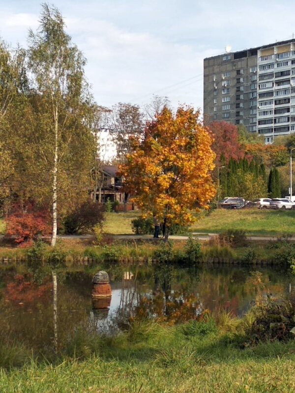 Осень в городе. - Ольга Довженко