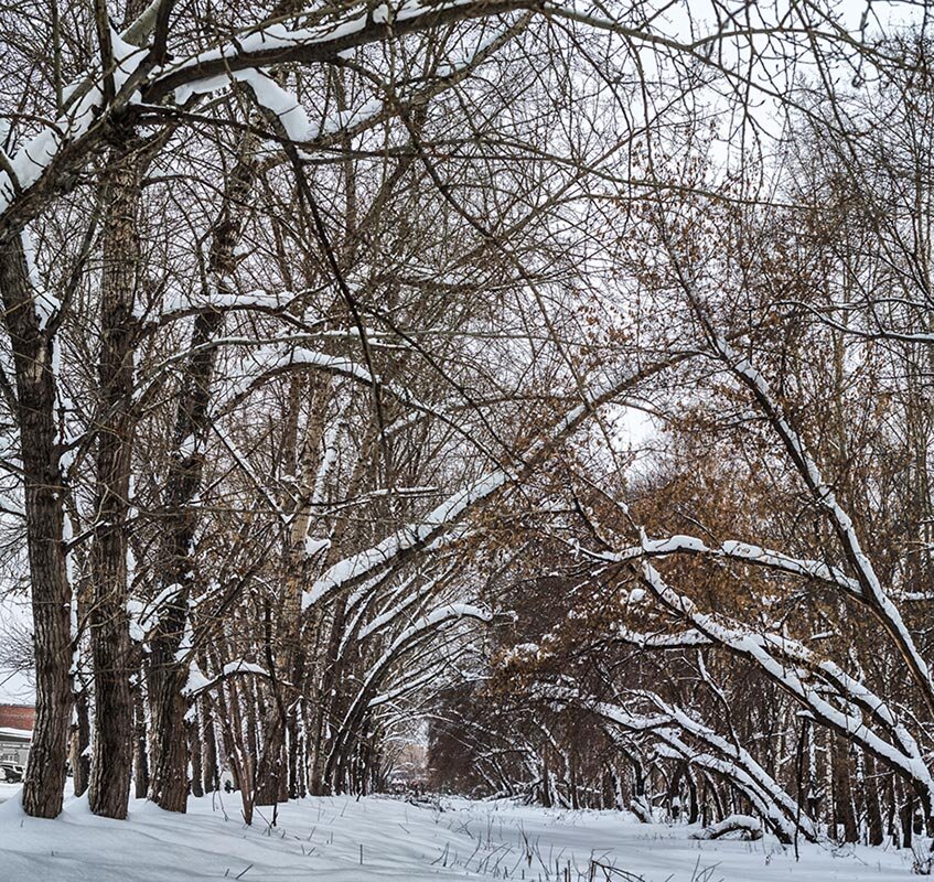 Снег - SanSan 